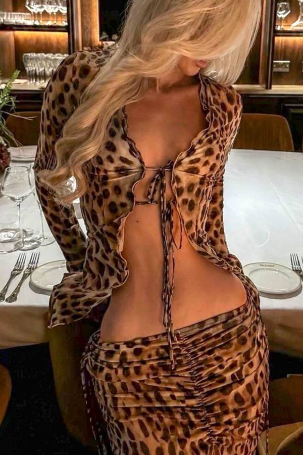 Leopard Print Sheer Mesh Tie Top & Ruched Long Skirt Two Piece Set
