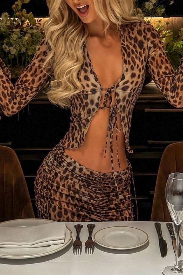 Leopard Print Sheer Mesh Tie Top & Ruched Long Skirt Two Piece Set