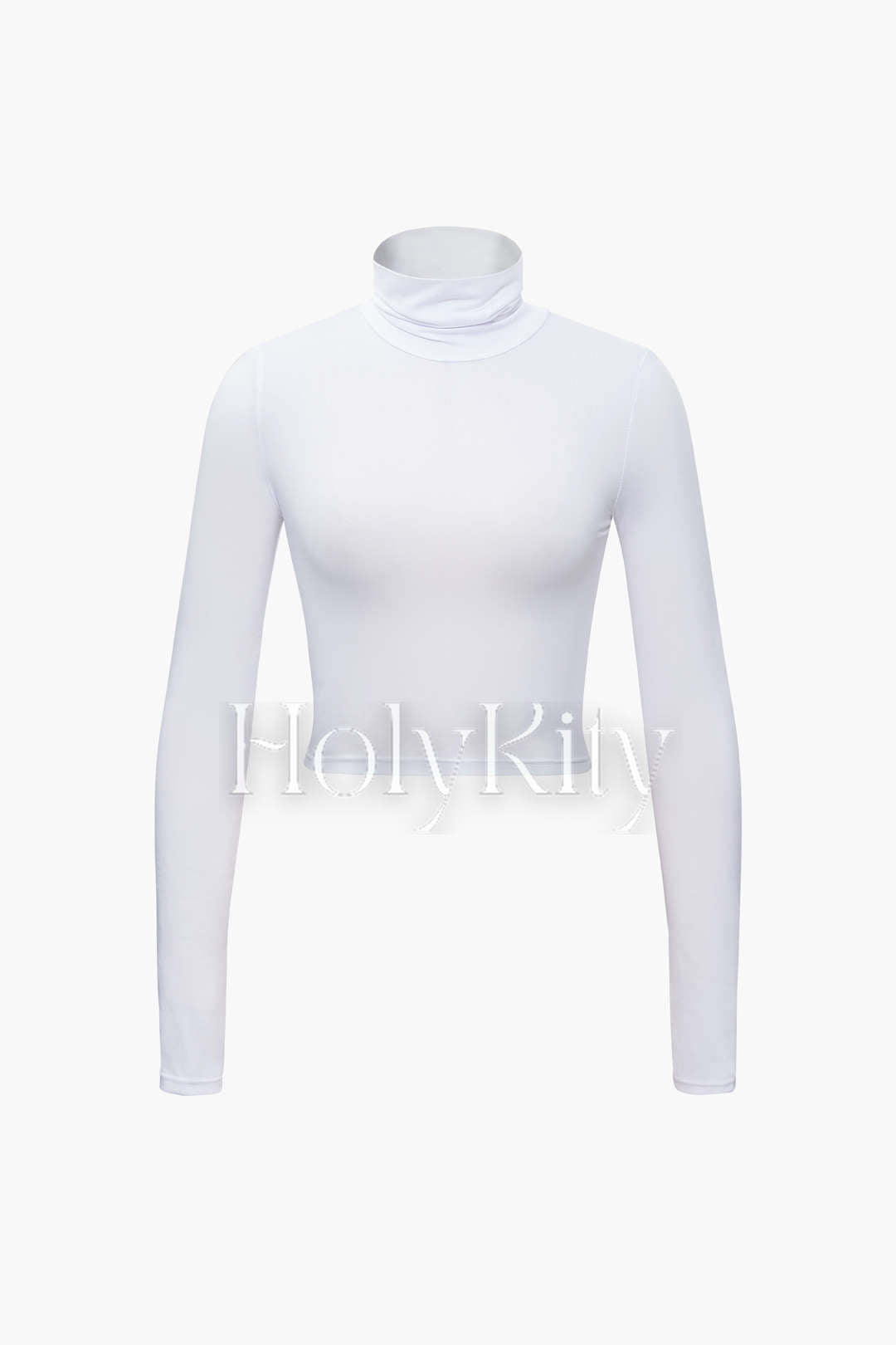 Solid Turtleneck Long Sleeve Crop Top