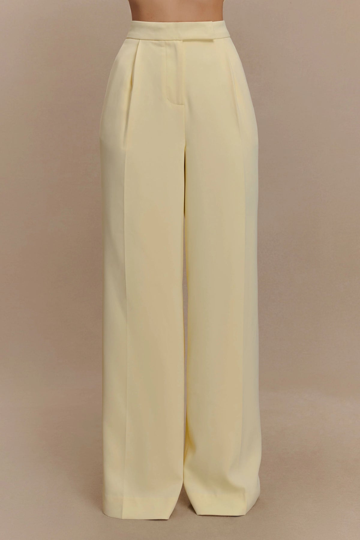 Suiting Wide Leg Pant