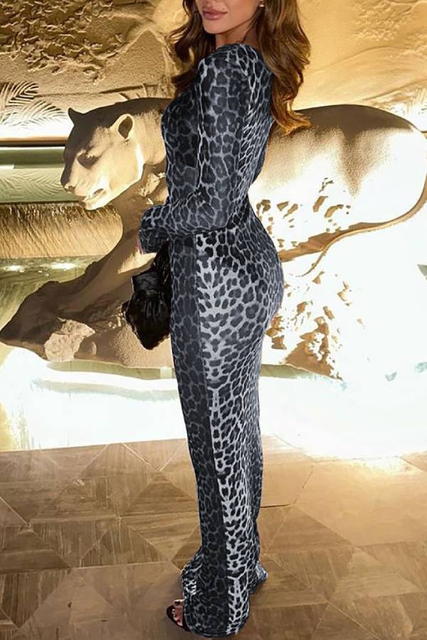 Sheer fitted long-sleeved dress