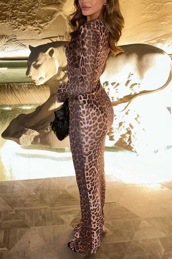 Sheer fitted long-sleeved dress