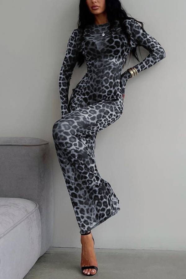 Sheer fitted long-sleeved dress