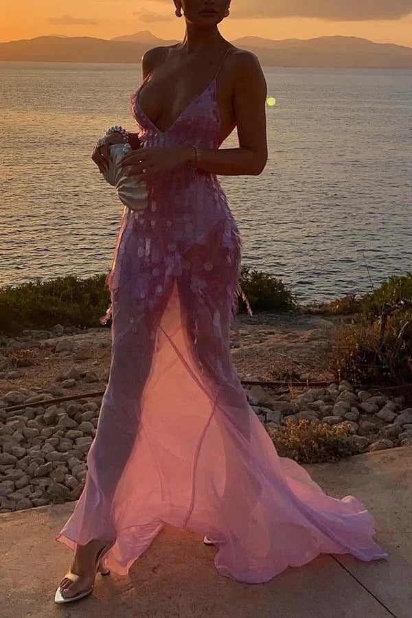Perfect Night Sequin Embroidery Backless Drape Tulle Hem Slip Maxi Dress