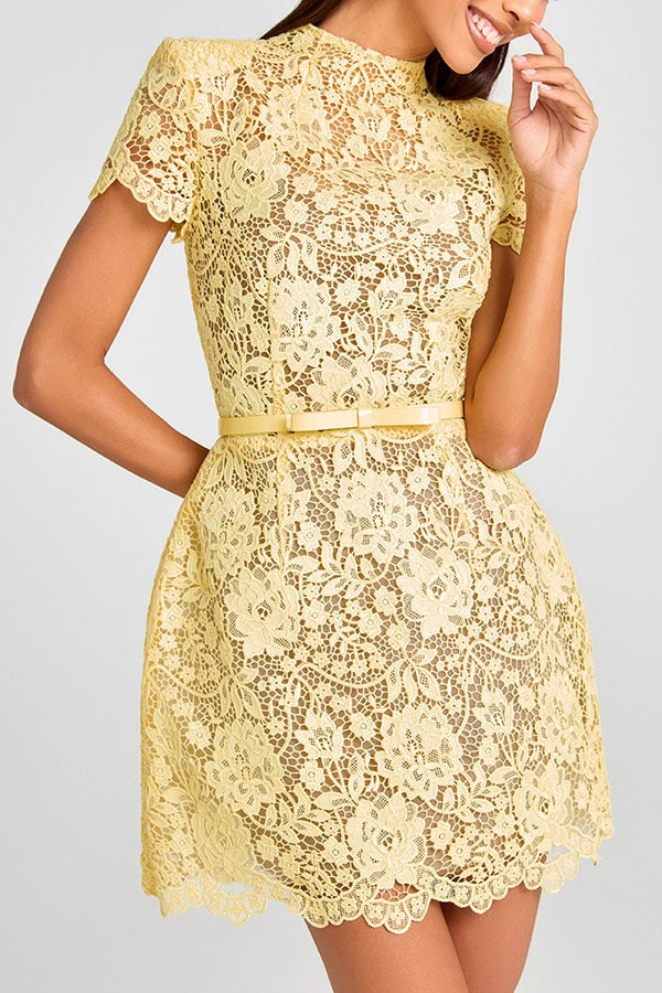 Champagne Toast Flower Lace Short Sleeve Bow Belted Mini Dress
