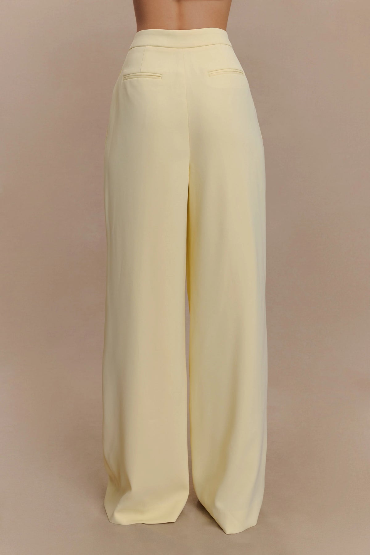 Suiting Wide Leg Pant